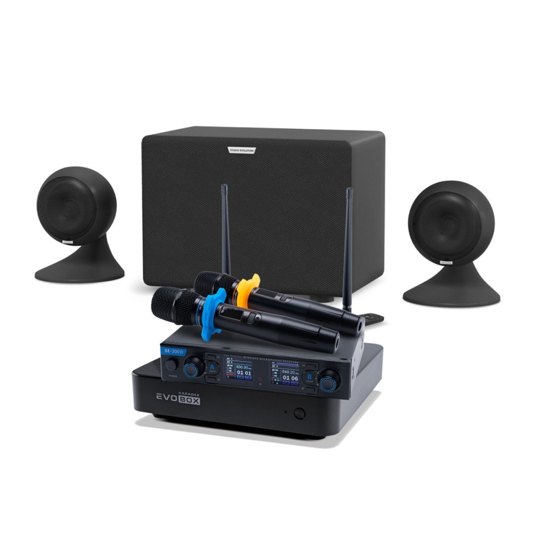 караоке-комплект EVOBOX + EvoSound Sphere 2.1 в Мончегорске