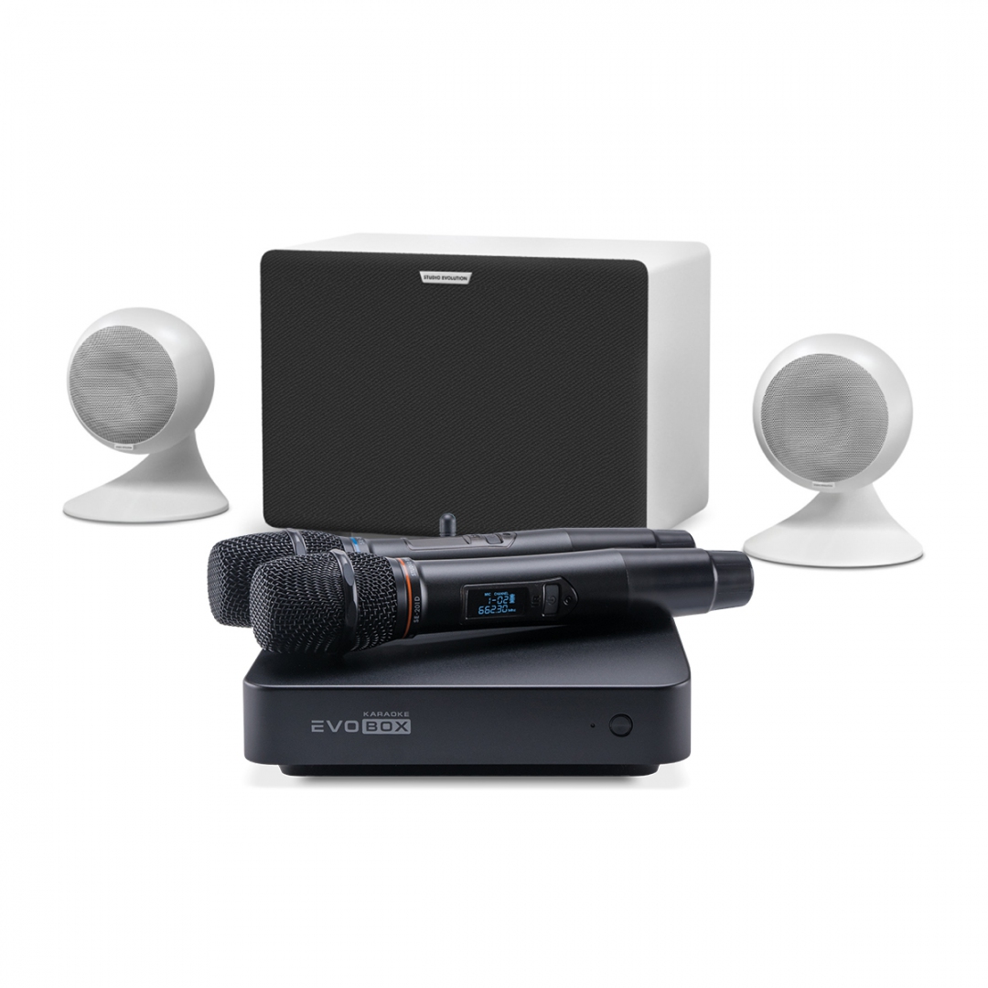 караоке-комплект EVOBOX Classic + EvoSound Sphere 2.1 в Мончегорске