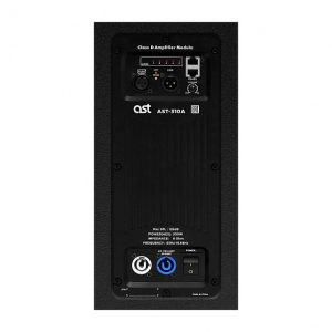 Активная акустическая система AST-310A в Мончегорске