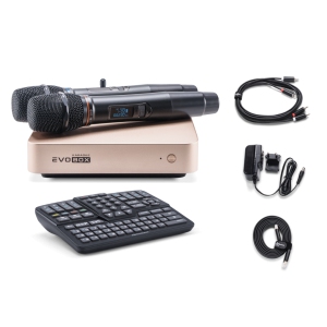 EVOBOX Classic караоке-система для дома в Мончегорске