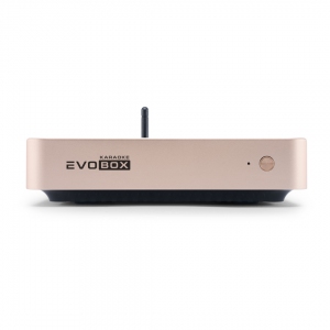 EVOBOX Plus караоке-система для дома в Мончегорске